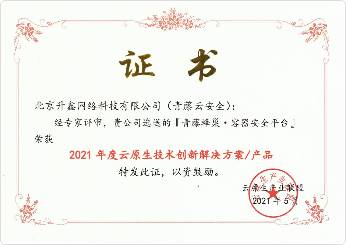 北京网安在线蜂巢入选“2021年度云原生技术创新
